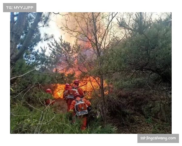 吉拉西解围失误送点,科贝尔扑救表现仍获认可 吉拉西解围失误送点,科贝尔扑救表现仍获认可